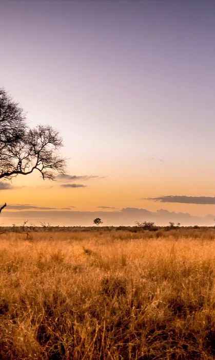 Sossusvlei dunes, Namibia