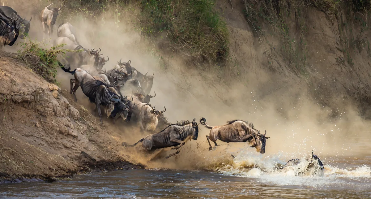 Great Migration river crossing