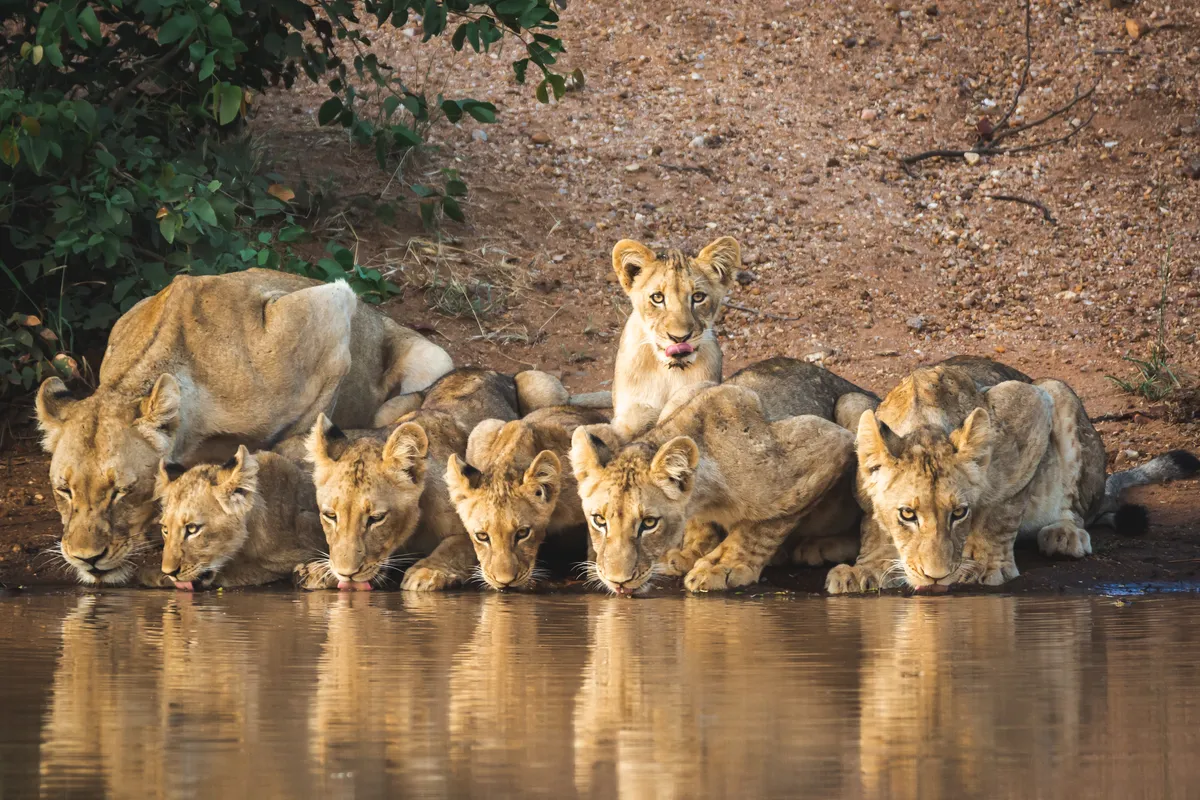 Etosha National Park