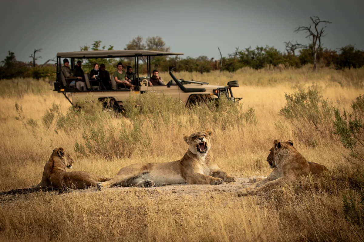 Singita